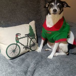 Meet your Posher, Tony